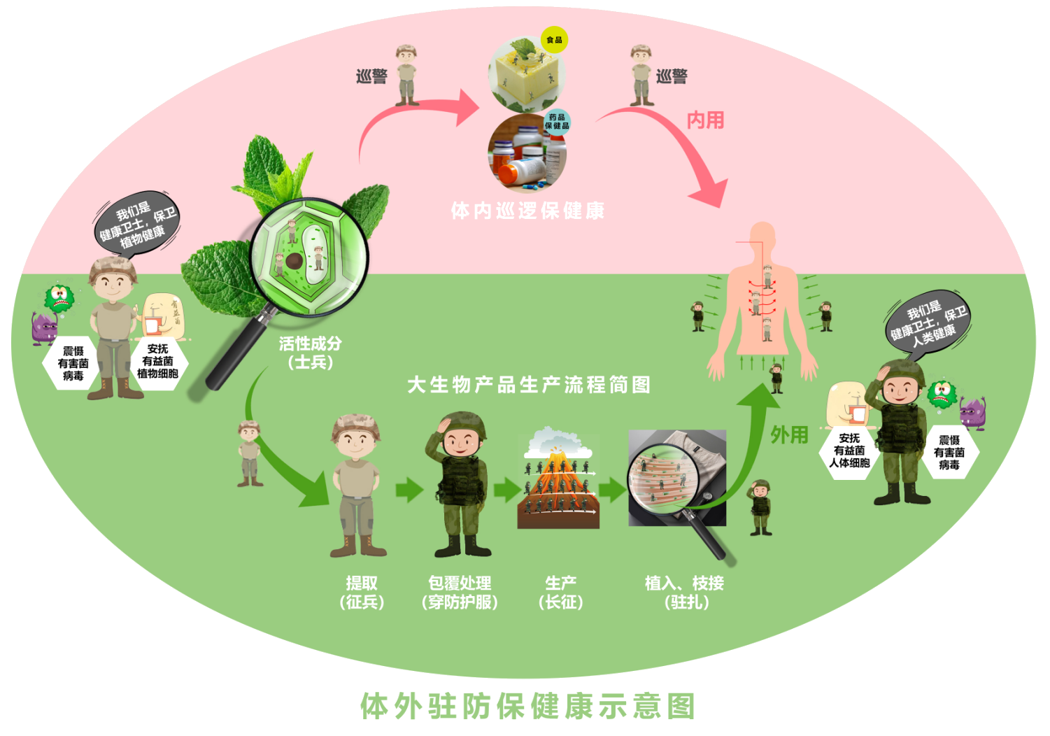 抗菌抗病毒.png
